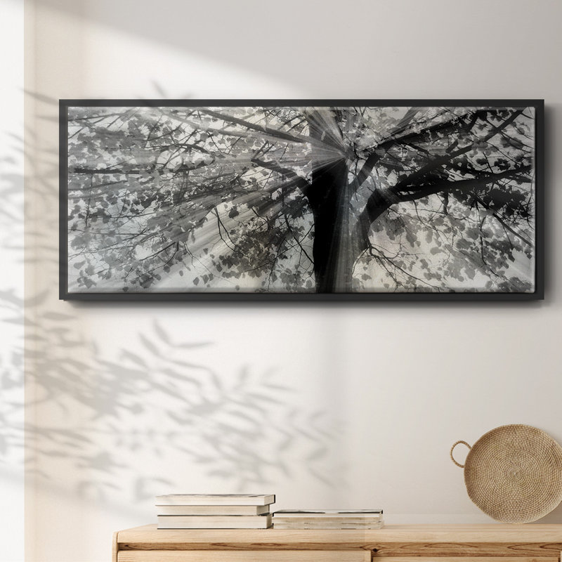Story From Light and Shadow- Framed Canvas, 24" H x 60" W