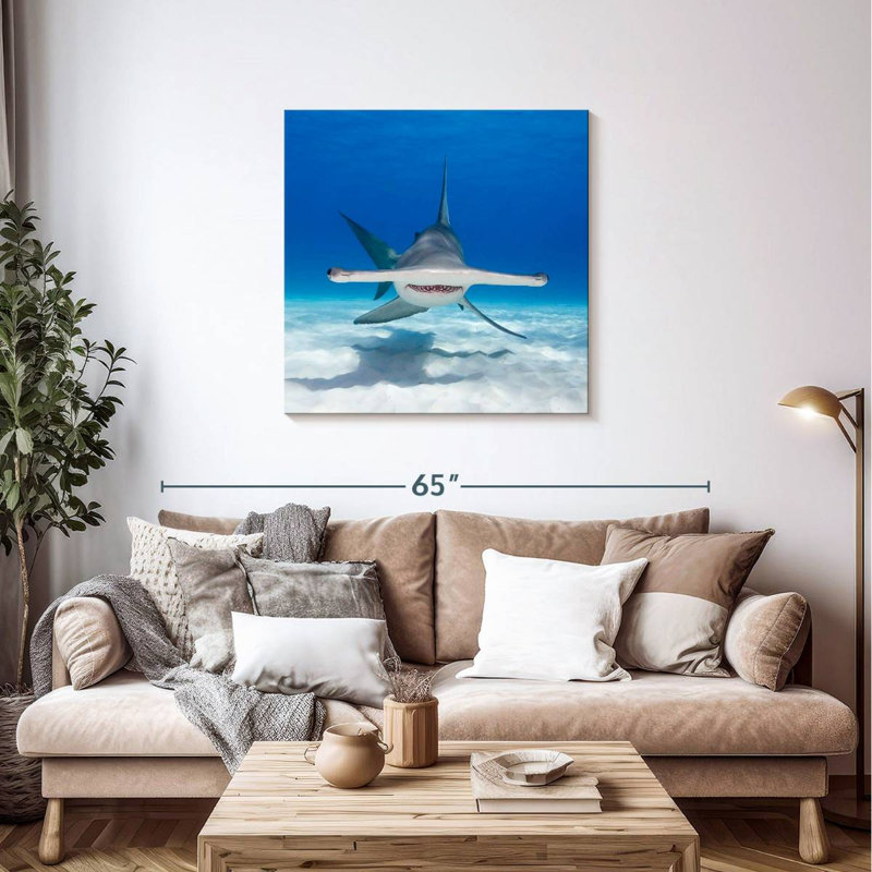 Albern Hammerhead Shark Swimming, 36" H x 36" W
