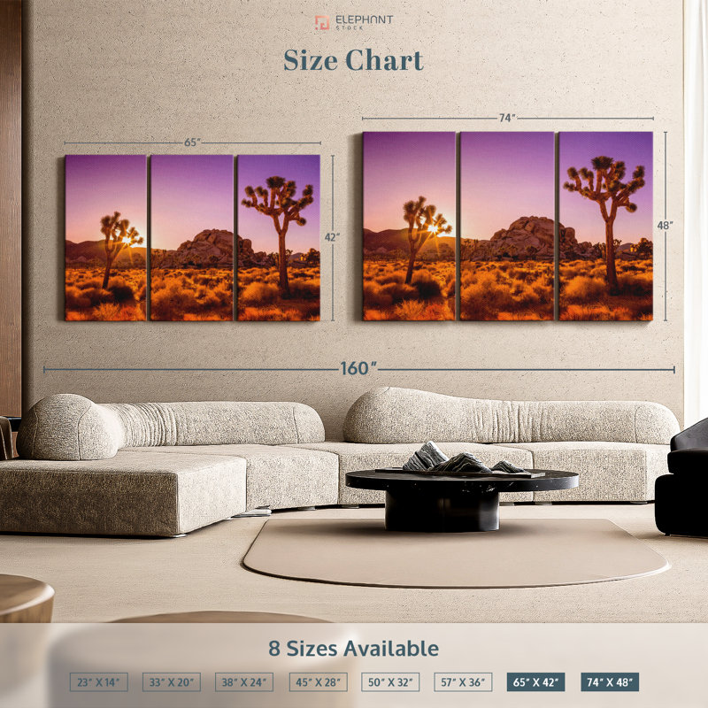 Nature "Sunlit Joshua Trees Canvas Print" sur, H 48 po x l 74 po x P 1,25 po