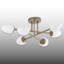 Lustre 6 lumières-170156873