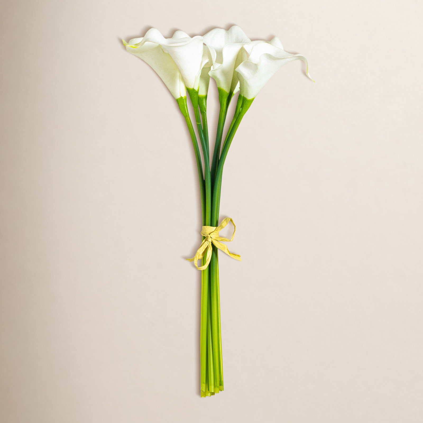 Paraiso Calla Lily Stems, White