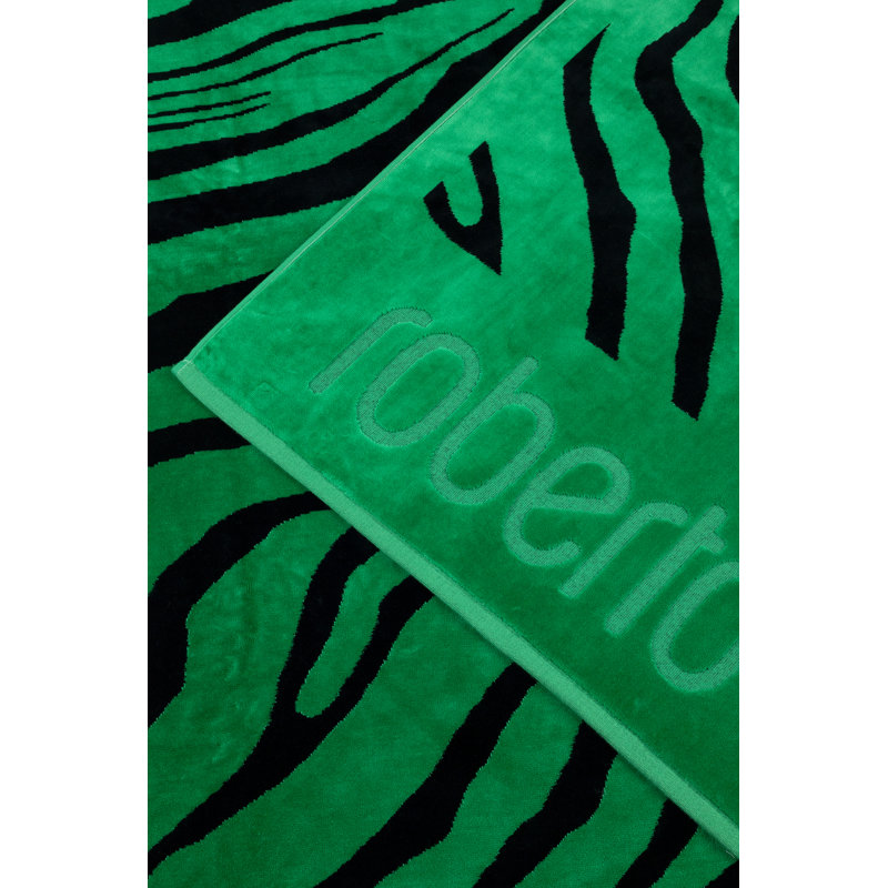 Zebra 2000 Beach Towel, GREEN