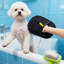 Gants pour animaux