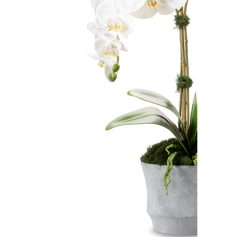 Rosalyn Realtouch Orchid in Cement Vase, White