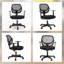 Enosburg 59 cm Wide Black Mesh Swivel Office Task Chair with Adjustable Seat Height and Mid-Back