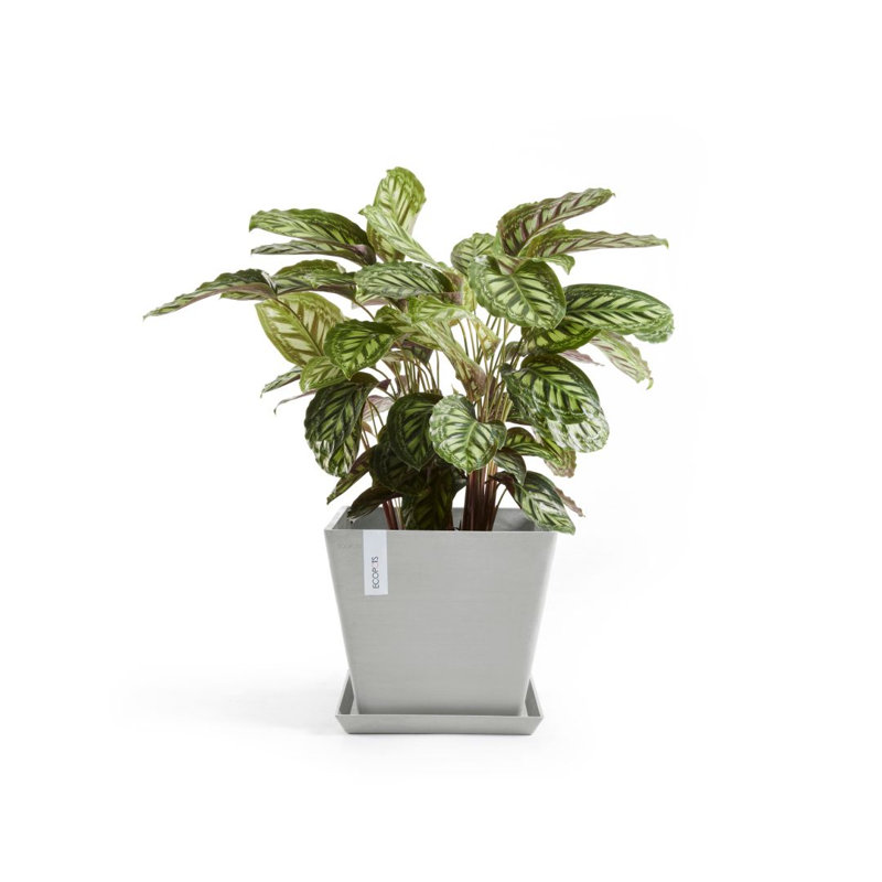 Jardinières en pot, H 11,81 po x l 11,81 po x P 10,24 po, Blanc gris
