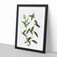 Golden Willow Tree Branch by Pierre-Joseph Redoute - Picture Frame Art Print-55608516-55608518