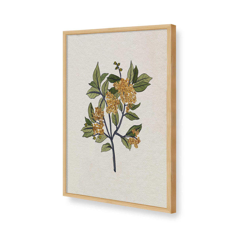«Leaf & Light I» par Melissa Wang, reproduction d'art, Tanné, Impression sur cadre ouvert sans papier mat, H 48 po x l 32 po