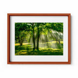 Summer Rain Print by Joseph Regan