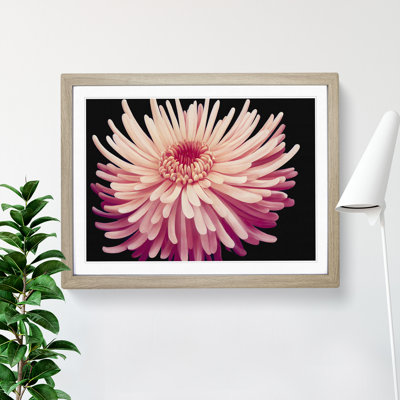Hopeful Chrysanthemum Flower 1 Piece Single Picture Frame Wall Art