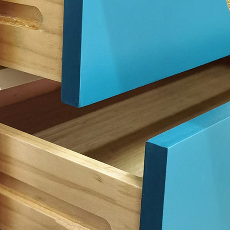 Armoire de rangement en bois massif avec art peint à la main
