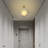 Glass Flush Mount