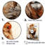 Intense Lions Gaze Realism I sur impression sur toile-831914853-831914904