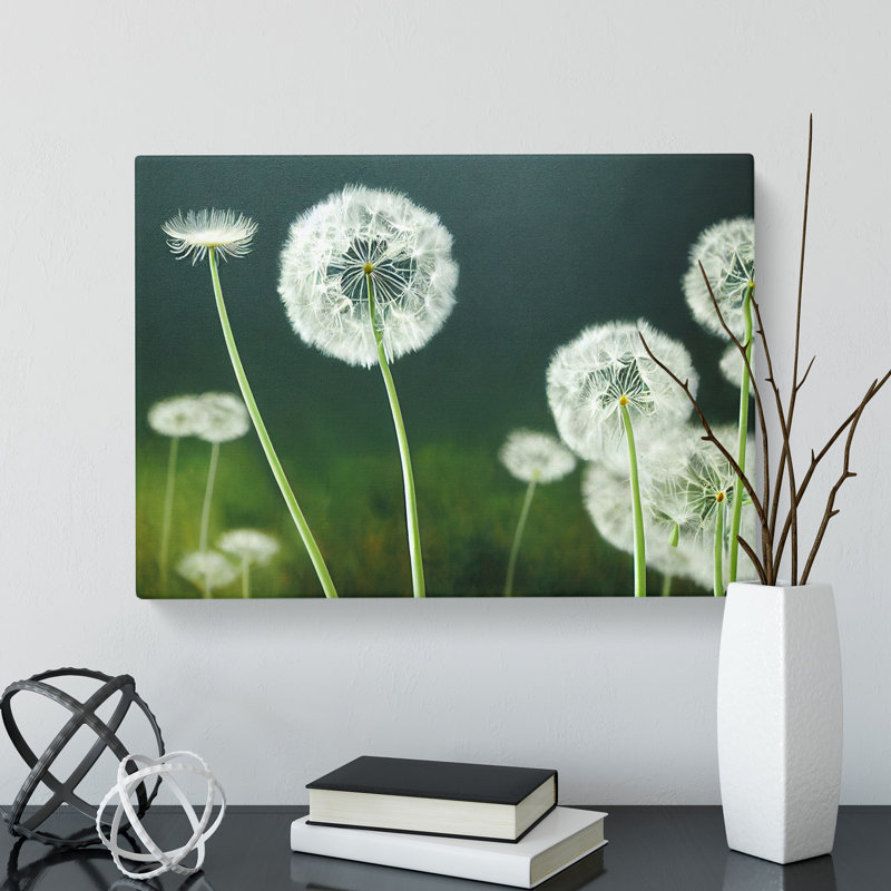 Mesmerising Dandelion Flowers - Wrapped Canvas, 50cm H x 76cm W x 3cm D