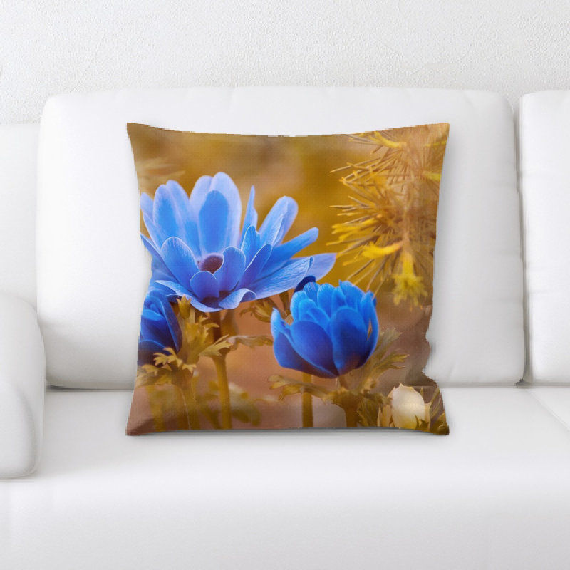Coussin anemone