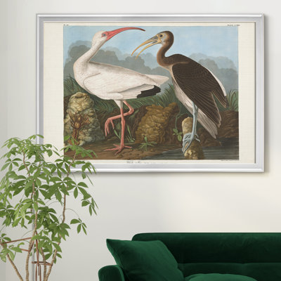 Blanc ibis - reproduction de cadre photo sur toile