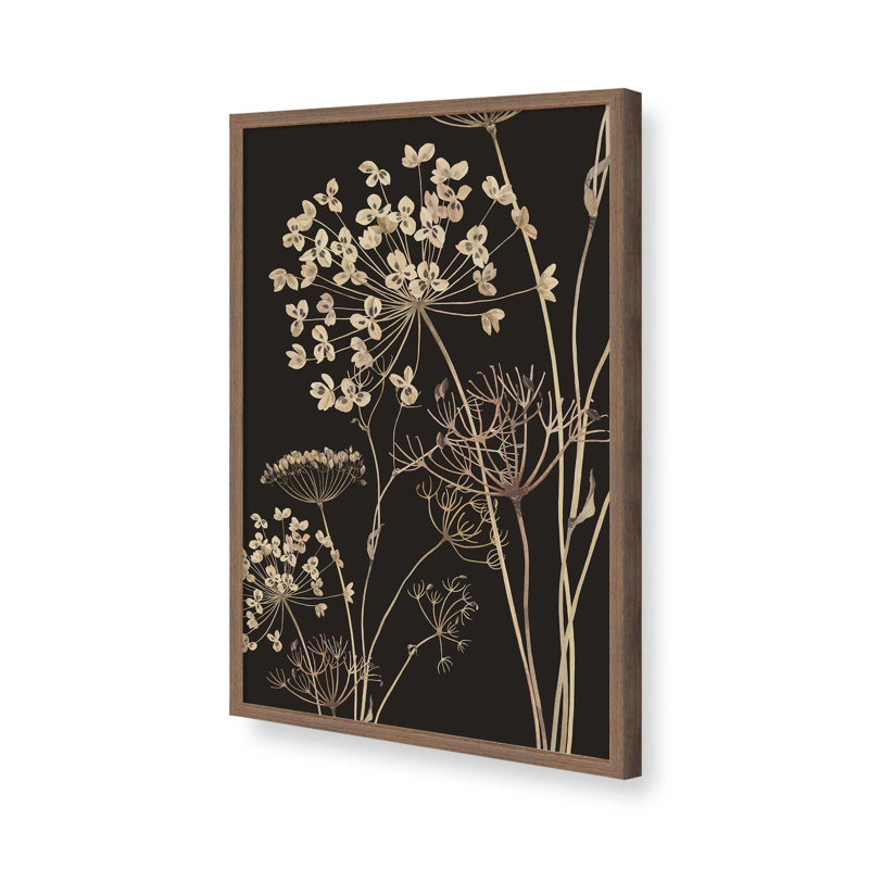 «Wildflowers 10» par Thingdesign, reproduction d'art, Brun, H 18 po x l 12 po