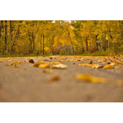 Décalcomanie murale route d’automne