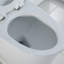 Toilette allongée pratique à une pièce 20 po