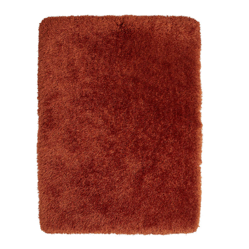 Hetzel area rug Hand Tufted Rectangle Red, Terracotta, Rectangle 60 x 120 cm