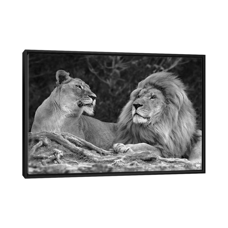" Love " by Xavier Ortega, 18" H x 26" W x 1.5" D, Black Framed Canvas, No Mat