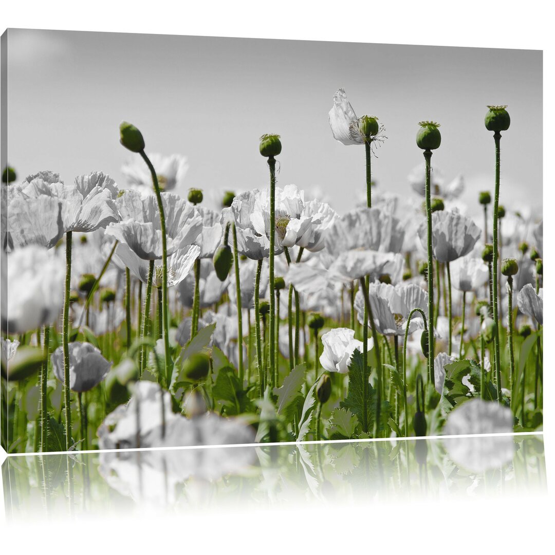 Leinwandbild Mohn-Blumen-Wiese