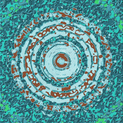 Indoor Rug