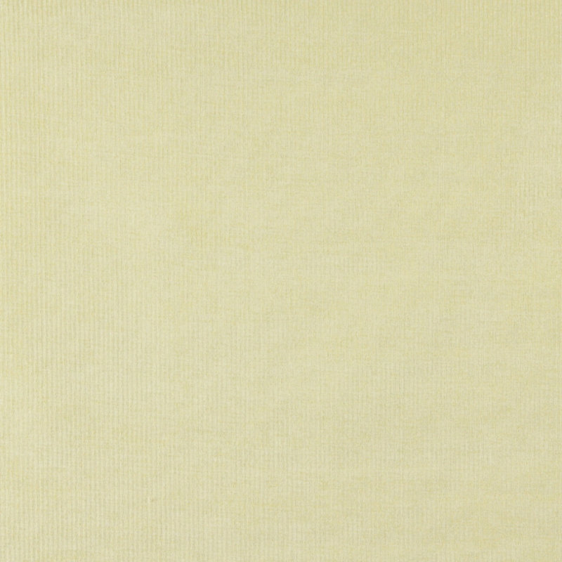 Tissu velours, Vert
