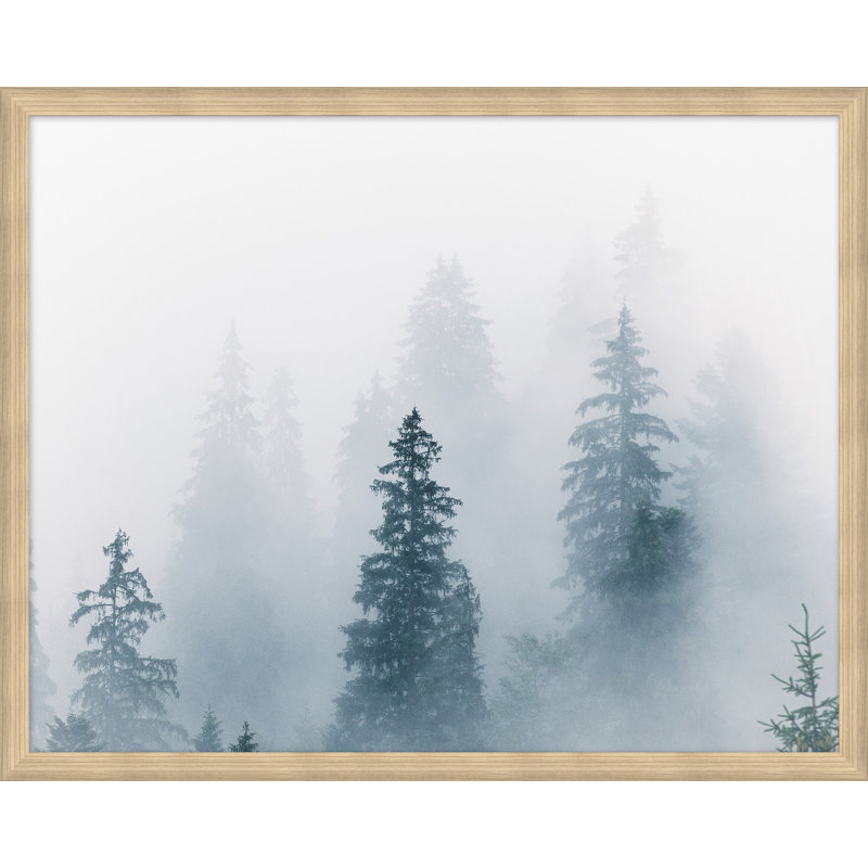 Misty Morning Hike 4 Print, Brown Framed