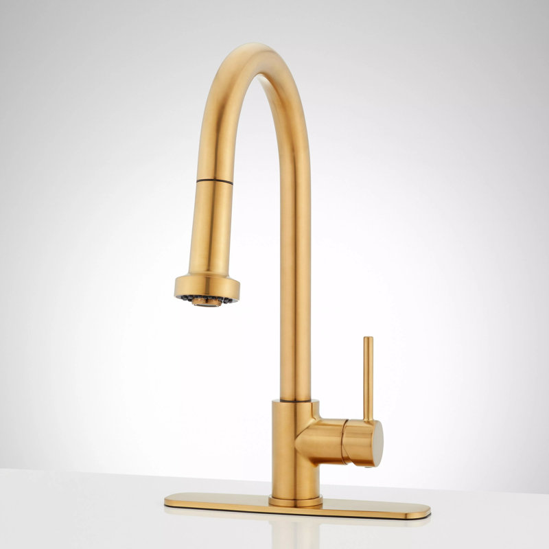 Ridgeway Single Hole Pull Down Touchless Kitchen Faucet with Deck Plate, Brushed Gold