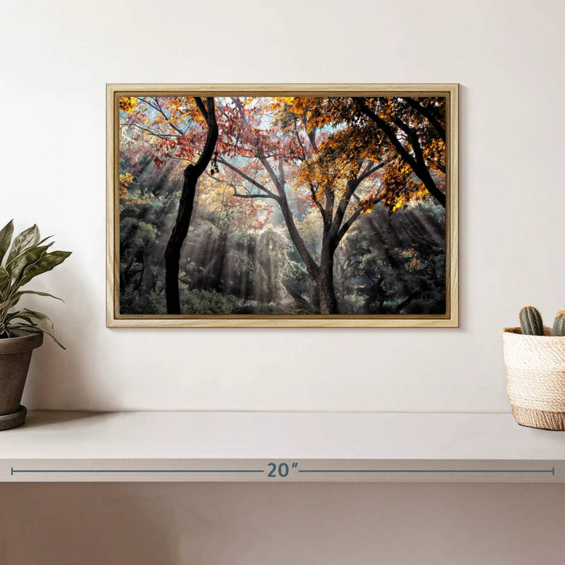 Rayons de soleil de la forêt, Cadre flottant en bois naturel, 13 po x 9 po