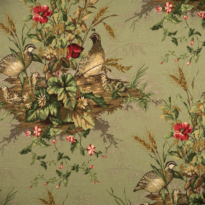 Tissu Edwin's Covey, Multicolore / saule