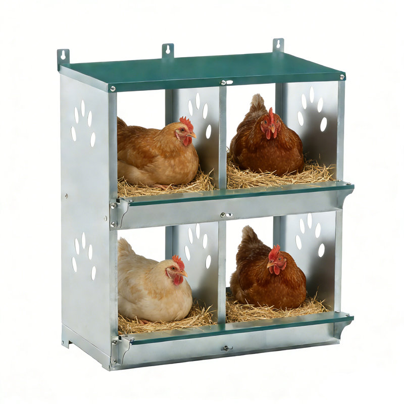 Boîtes de nidification pour poulets, boîte de nidification pour poulets à 4 compartiments