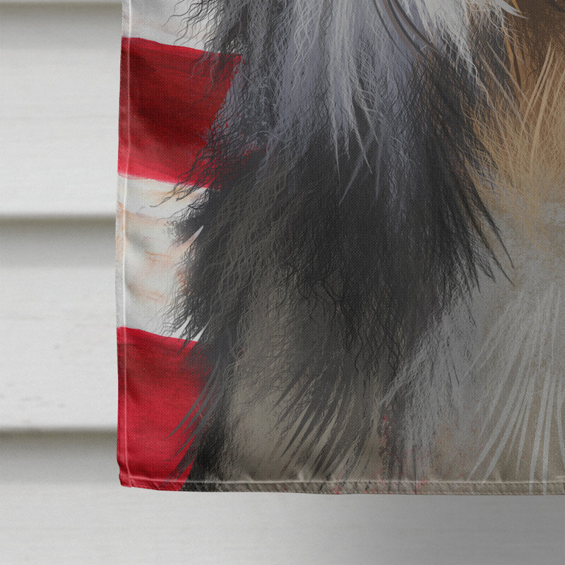 Polyester à 2 côtés 28 x 40 po drapeau maison, Colley barbu