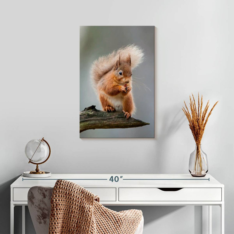 Brampt Red Squirrel Eating On A Branch, 24" H x 16" W