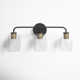Attamore 3 Light Transparent Dimmable Vanity Light