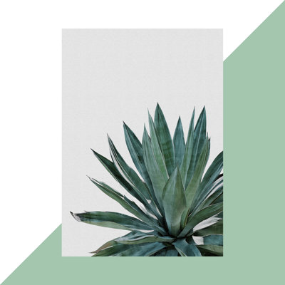 Agave Cactus - Print