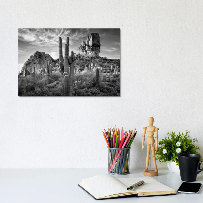 Desert View I by David Drost - Wrapped Canvas Print, 20.32 cm H x 30.48 cm W