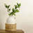 Elements 7.5-In X 9.5-In White Handle Rattan Basket Vase