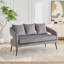 Causeuse en velours-1803031367