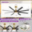 Ventilateur de plafond standard à 8 pales avec télécommande et ensemble d'éclairage Jamii-Leigh inclus-2030655079-2039304821-2030655099