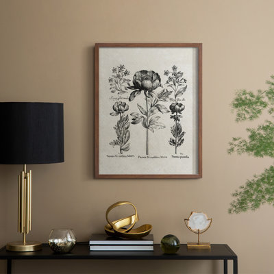 Reproduction florale vintage encadrée «Cccxxviii» - bois massif