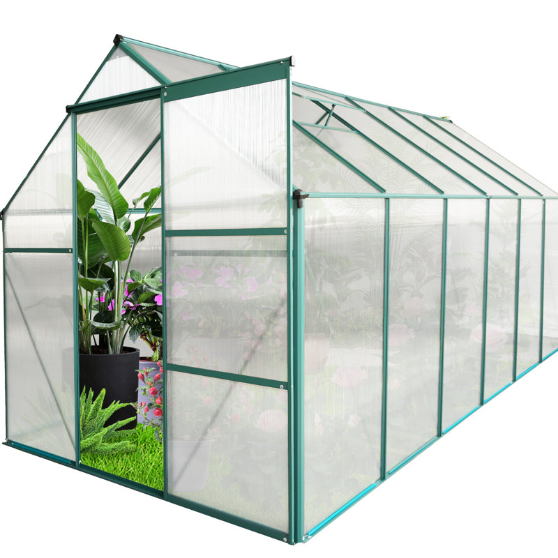 Serre toute saison 6 pi x 12 pi - Polycarbonate avec cadre et base galvanisée bloquant le drainage