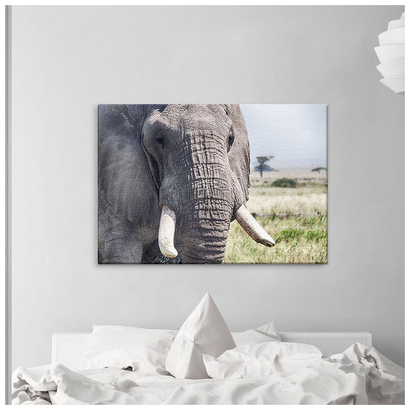 Print on Canvas, 100cm H x 150cm W