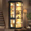Display Cabinet