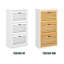 12 Pair Shoe Storage Cabinet