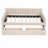 Twin Size Upholstered daybed with Drawers-13690625
