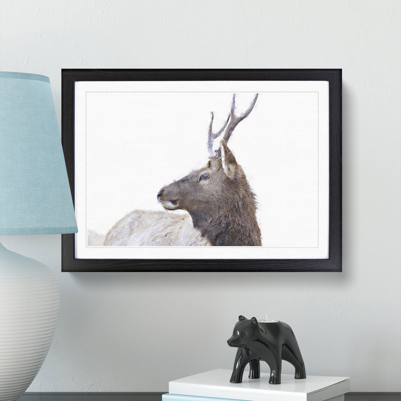 Young Elk - Picture Frame Painting Print, 36cm H x 48cm W x 2cm D, Black Framed