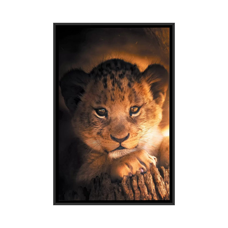 Lion Cub by Zenja Gammer - Print on Canvas, 66.04 cm H x 45.72 cm W, Black Framed