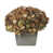 Coffee / Sage selected